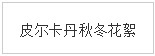 video2.html